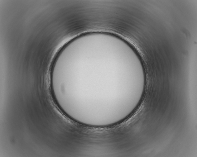 X0000111930982200909071234