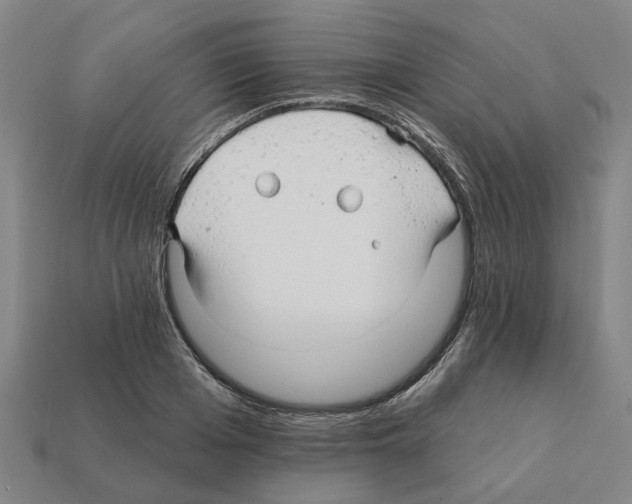 X0000111930985200909071234