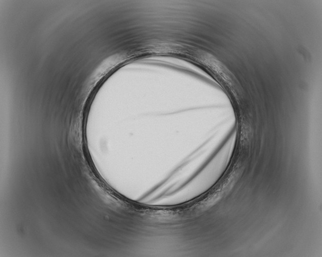 X0000111930986200909071234