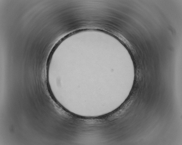 X0000111930988200909071234