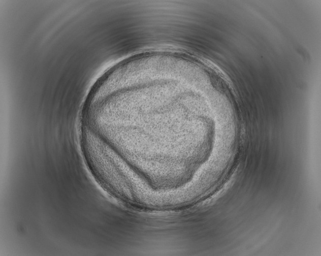 X0000111930989200909071234