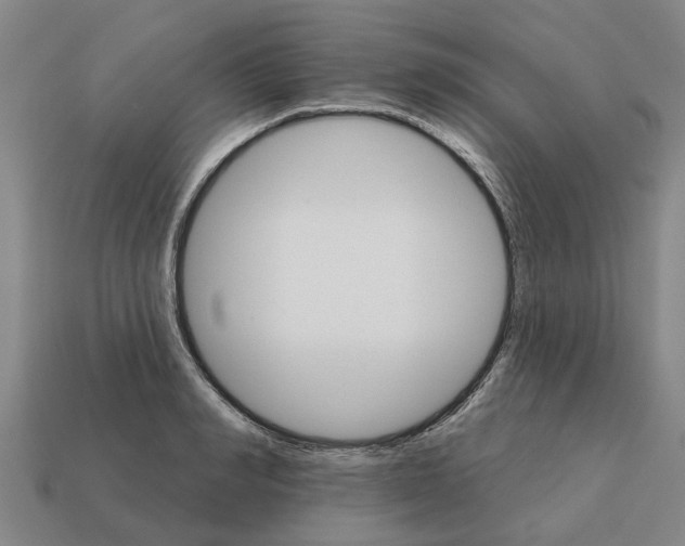 X0000111930990200909071234