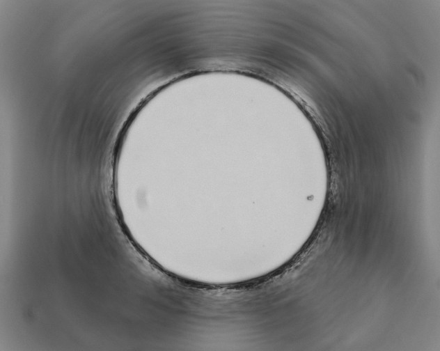 X0000111930992200909071234