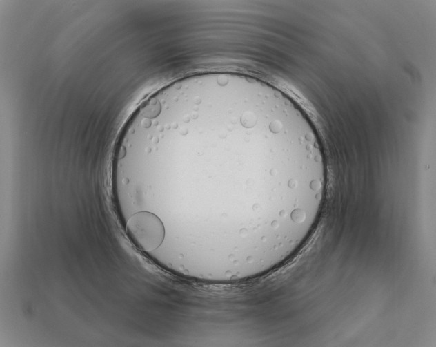 X0000111930994200909071234