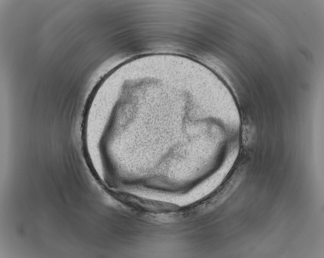 X0000111930995200909071234