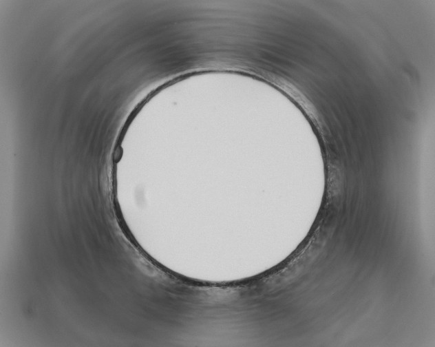 X0000111930996200909071234