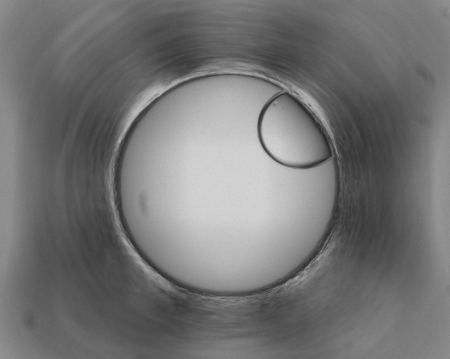 X0000111930997200909071234