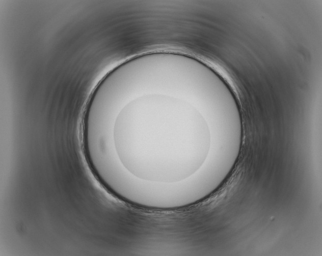 X0000111930999200909071234