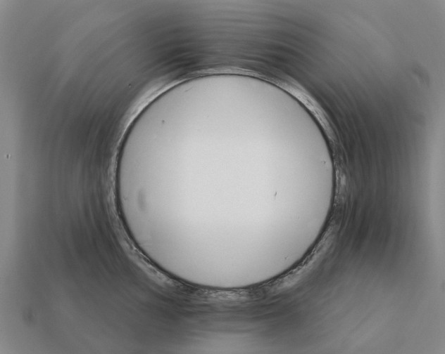 X0000111931002200909071234