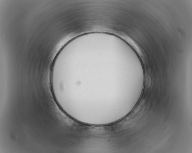 X0000111931006200909071234