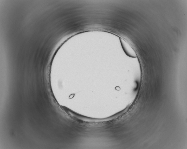 X0000111931008200909071234