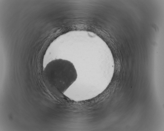 X0000111931009200909071234