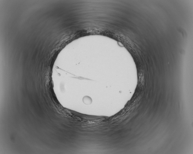 X0000111931012200909071234