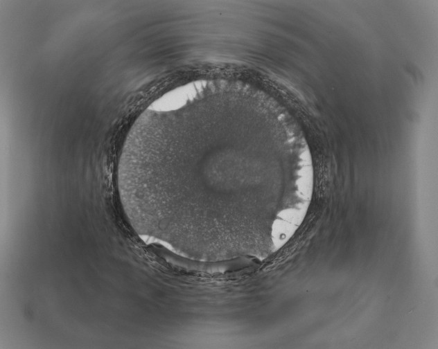 X0000111931013200909071234