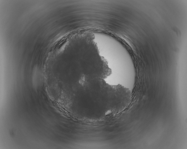 X0000111931015200909071234