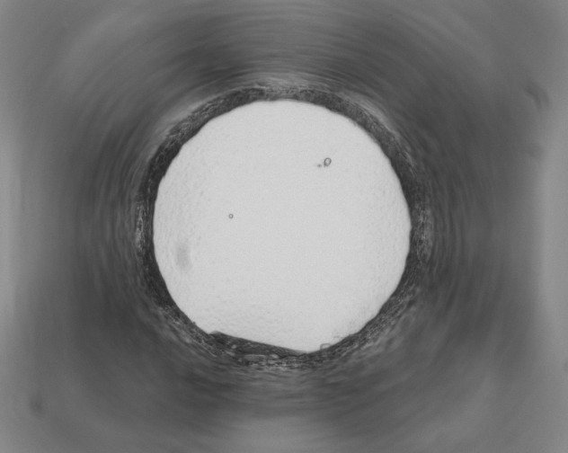 X0000111931016200909071234