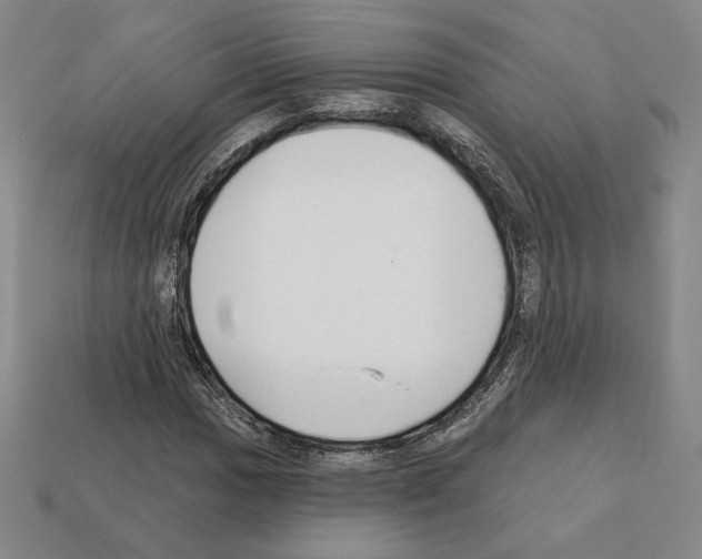 X0000111931017200909071234