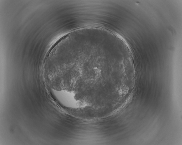 X0000111931019200909071234