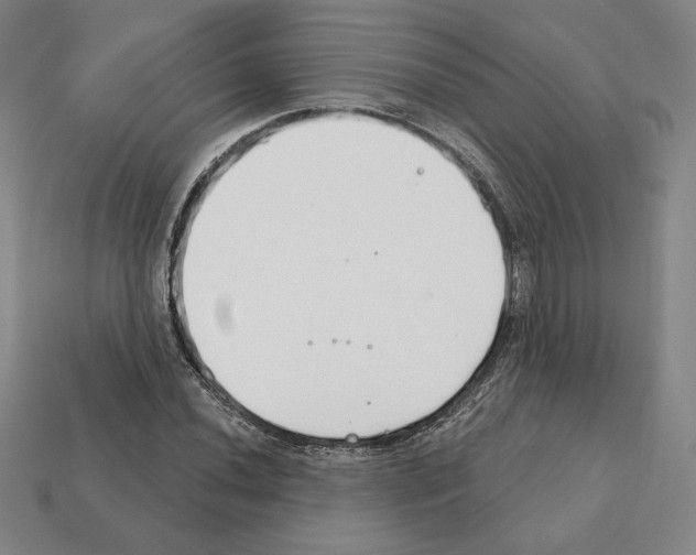 X0000111931020200909071234