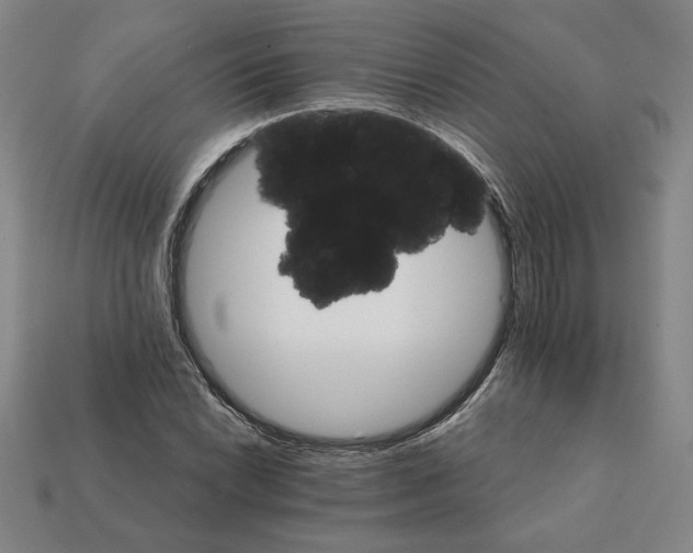 X0000111931022200909071234