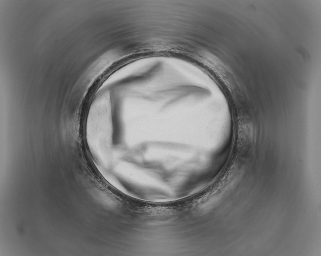 X0000111931023200909071234