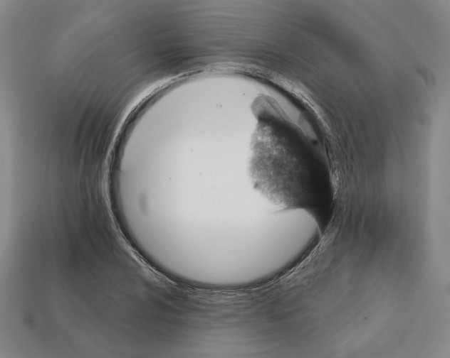 X0000111931024200909071234