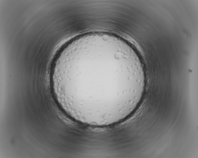 X0000111931027200909071234