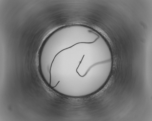 X0000111931031200909071234