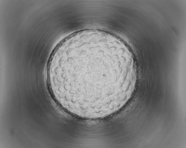 X0000111931032200909071234