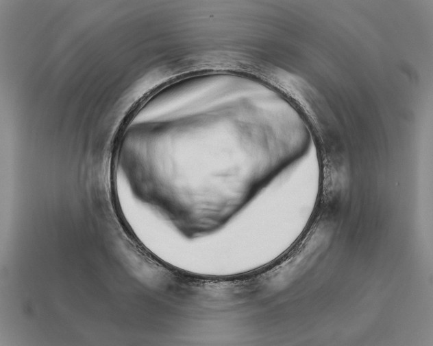 X0000111931035200909071234