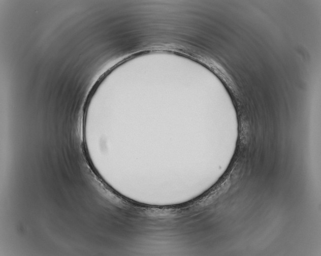 X0000111931036200909071234