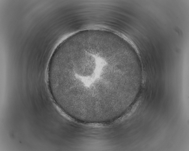 X0000111931037200909071234