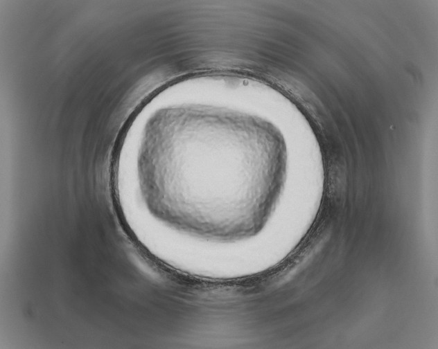 X0000111931039200909071234