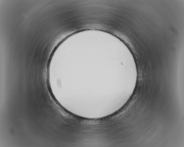 X0000111931040200909071234