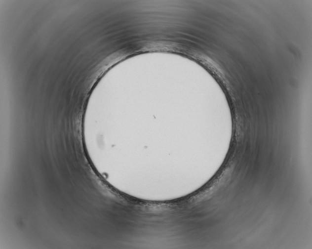 X0000111931041200909071234