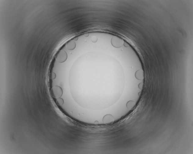 X0000111931042200909071234