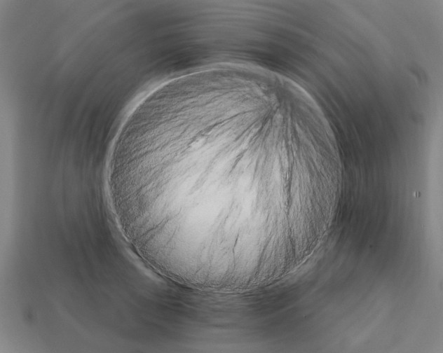 X0000111931043200909071234