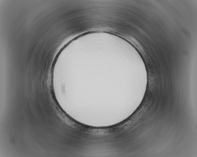 X0000111931044200909071234