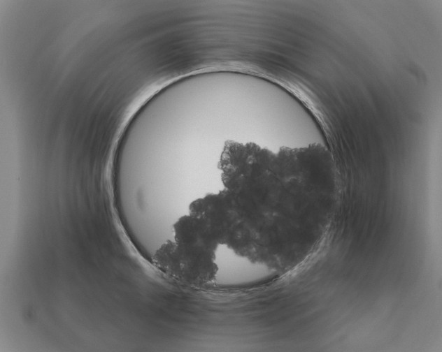 X0000111931046200909071234