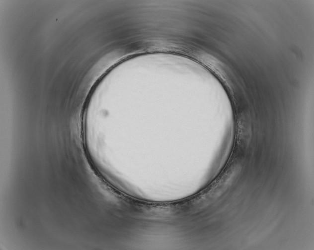 X0000111931047200909071234