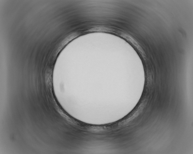 X0000111931049200909071234