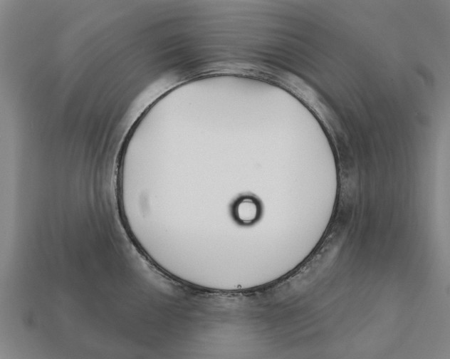 X0000111931050200909071234