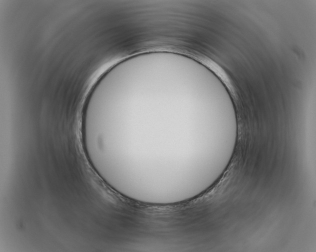 X0000111931051200909071234