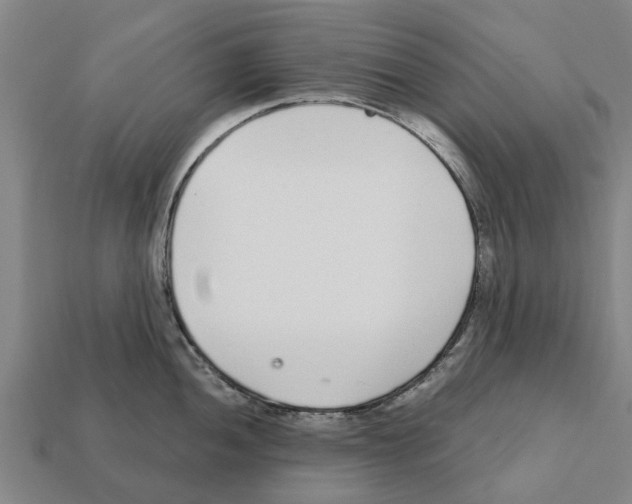 X0000111931052200909071234