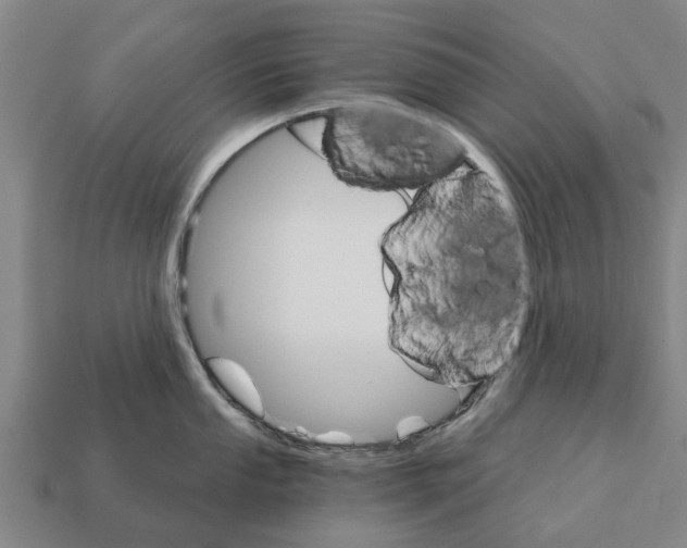 X0000111931053200909071234