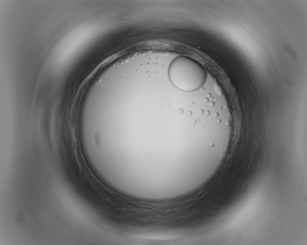 X0000111931054200909071234