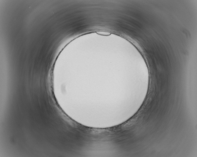 X0000111931056200909071234