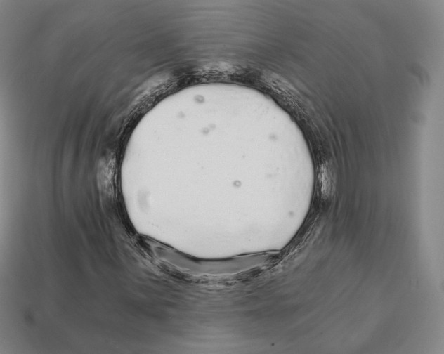 X0000111931059200909071234