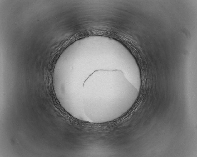 X0000111931061200909071233