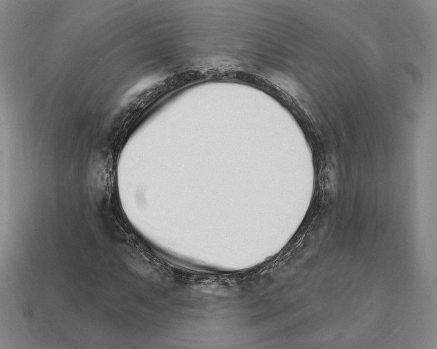 X0000111931063200909071233